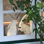 Friesenhaus Amrum Friesenhaushaelfte *hommelkasche*