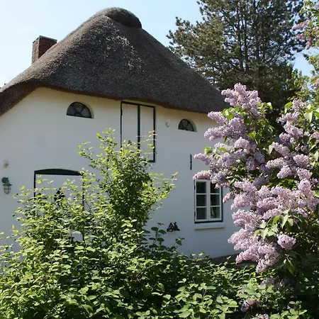 Prázdninový dům Friesenhaus Amrum Friesenhaushaelfte *hommelkasche*