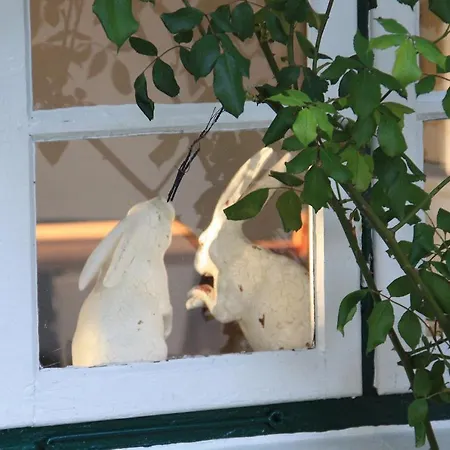 Friesenhaus Amrum Friesenhaushaelfte *hommelkasche*