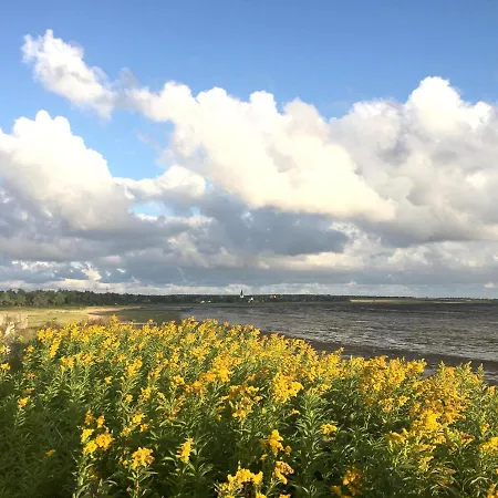 Friesenhaus Amrum Friesenhaushaelfte *hommelkasche* Prázdninový dům