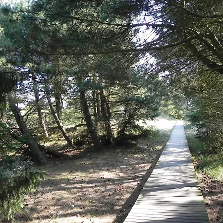 Prázdninový dům Friesenhaus Amrum Friesenhaushaelfte *hommelkasche* Suddorf