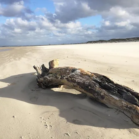 Prázdninový dům Friesenhaus Amrum Friesenhaushaelfte *hommelkasche* *